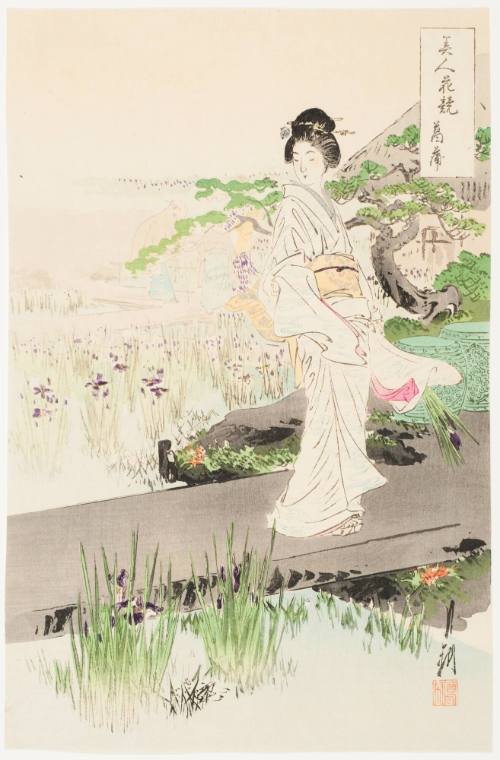 Iris (Shobu)