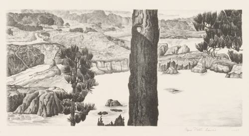 Point Lobos (Carmel, California)