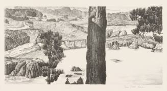 Point Lobos (Carmel, California)