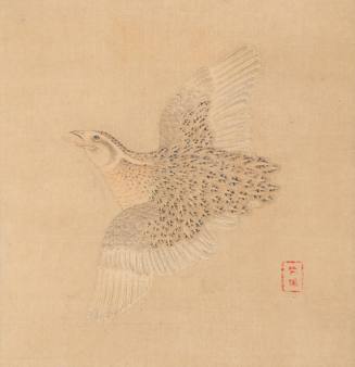 Quail in Flight