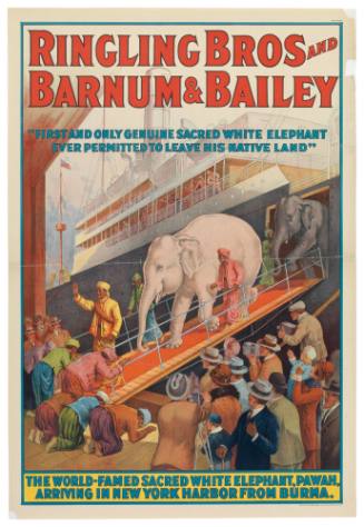 Ringling Bros and Barnum & Bailey Combined Shows: The World-Famed Sacred White Elephant, Pawah, Arriving in New York Harbor from Burma