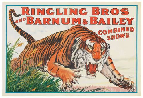 Ringling Bros and Barnum & Bailey Combined Shows: Leaping Tiger