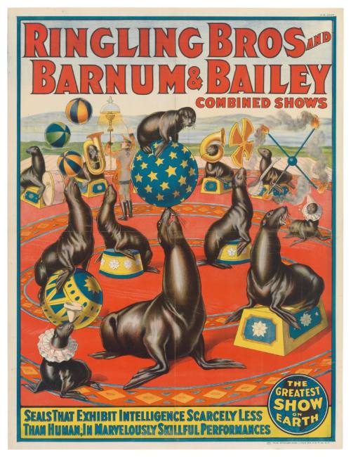 Ringling Bros and Barnum & Bailey Combined Shows: Seals That Exhibit Intelligence Scarcely Less Than Human