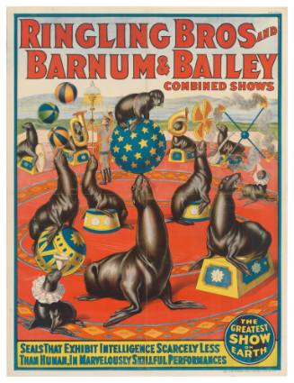 Ringling Bros and Barnum & Bailey Combined Shows: Seals That Exhibit Intelligence Scarcely Less Than Human