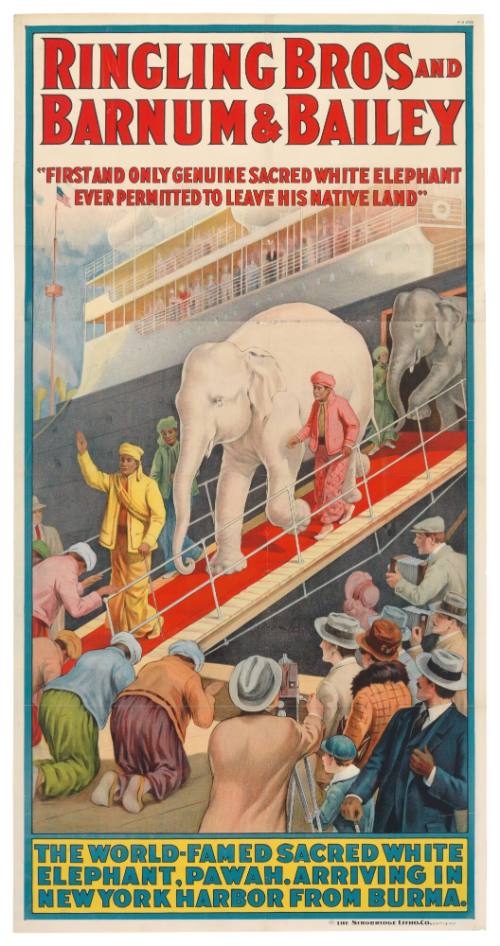 Ringling Bros and Barnum & Bailey: The World-Famed Sacred White Elephant, Pawah. Arriving in New York Harbor from Burma