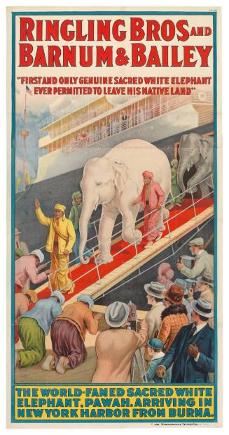 Ringling Bros and Barnum & Bailey: The World-Famed Sacred White Elephant, Pawah. Arriving in New York Harbor from Burma