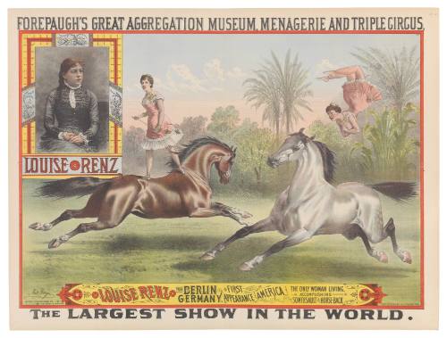 Forepaugh's Great Aggregation Museum, Menagerie and Triple Circus: Louise Renz