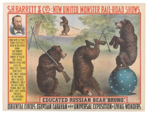 S.H. Barrett & Co.: Educated Russian Bear "Bruno."