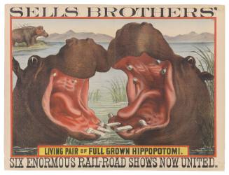 Sells Brothers': Living Pair of Full Grown Hippopotomi.