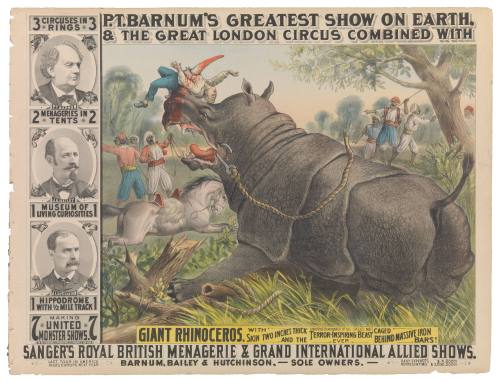 P.T. Barnum's Greatest Show on Earth & The Great London Circus: Giant Rhinoceros