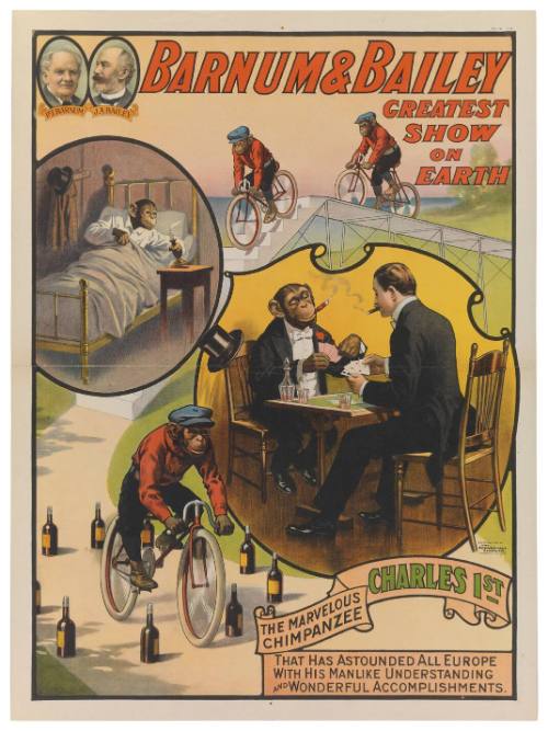 Barnum & Bailey Greatest Show on Earth: Charles 1st the Marvelous Chimpanzee