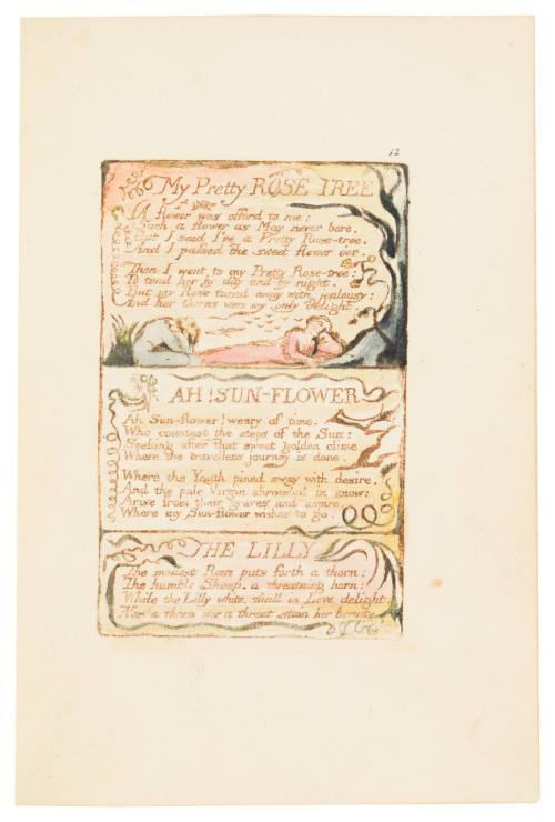 My Pretty Rose Tree; Ah, Sunflower; The Lily