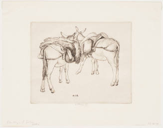 Donkeys of Selva