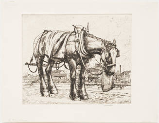 The Trace Horse