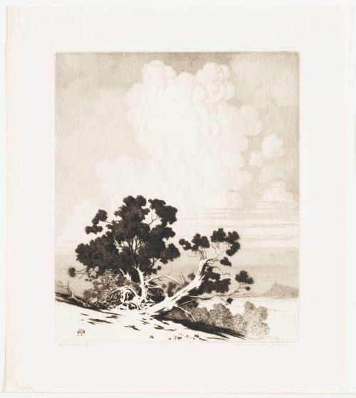 Desert Clouds