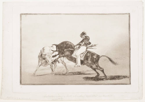 The Same, Riding a Bull, Throws Darts in the Madrid Arena