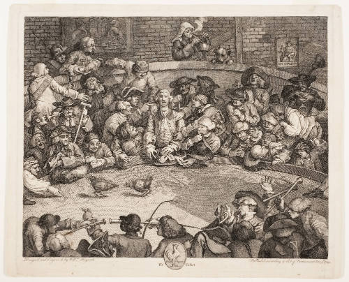 Royal Sport Pit Ticket