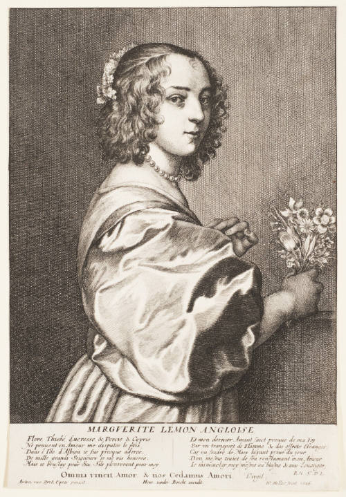 Marguerite Lemon Angloise