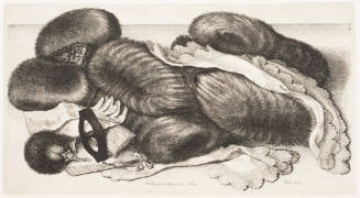 Muffs and Accessories