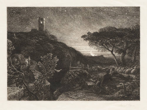 The Lonely Tower