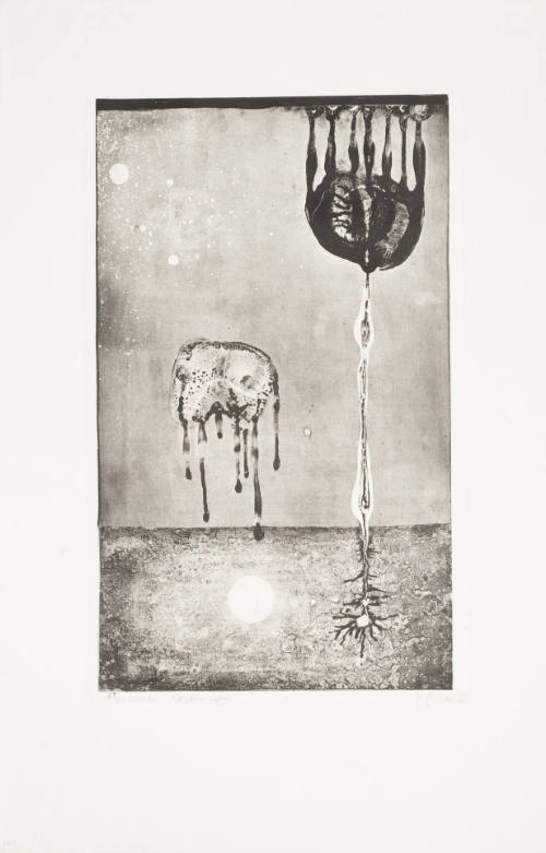 Metamorphosis