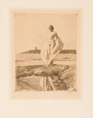 The Swan