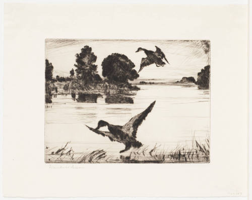 Nightfall (Second Plate)