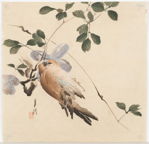Bird on Flowering Branch