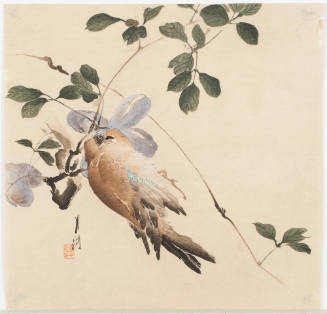 Bird on Flowering Branch