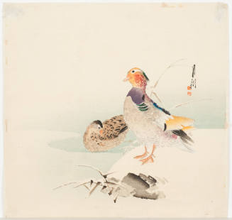 Mandarin Ducks