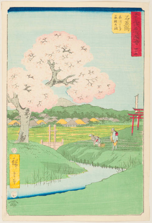 No. 45, Ishiyakushi, the Yoshitsune Cherry Tree and the Noriyori Shrine (Yoshitsune sakura Noriyori no hokora)