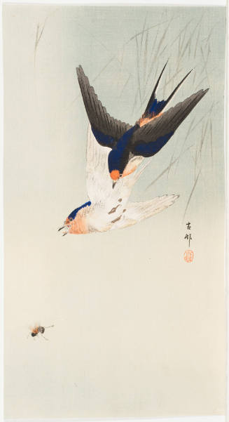 Two Barn Swallows Chasing a Bee