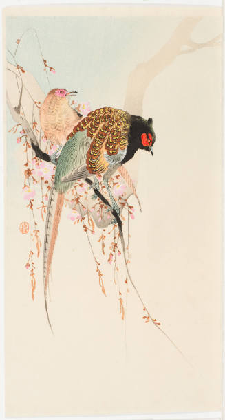 Pheasants on Branch