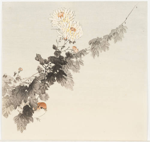 Bird under Flowering Branch