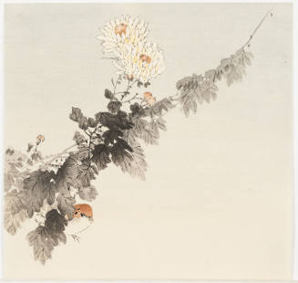 Bird under Flowering Branch