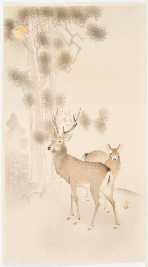 Ohara Koson (Shōson)