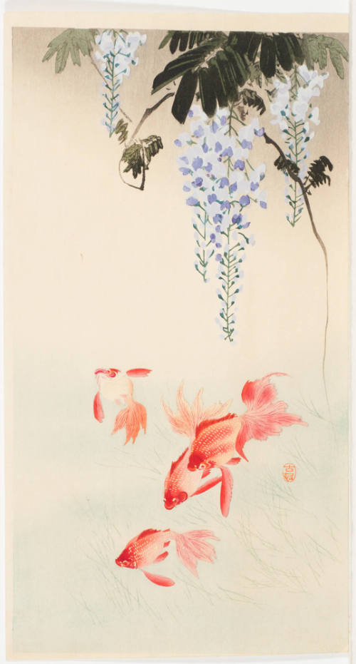 Gold Fish and Wisteria