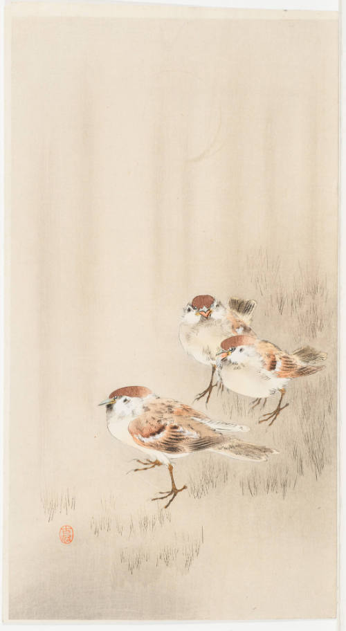 Three Birds