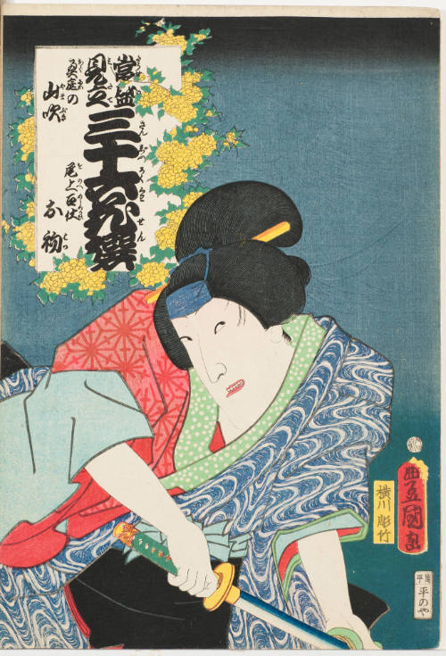 Yamabuki in the Garden