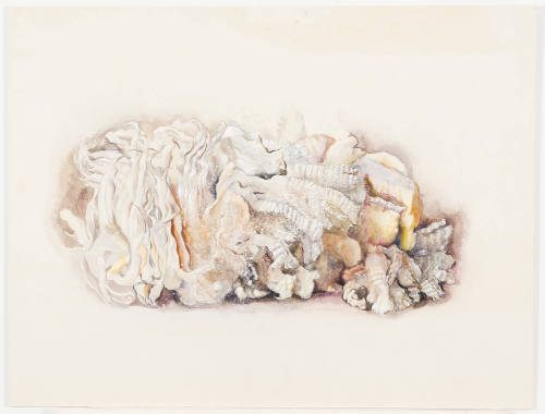 Driftwood