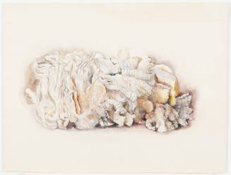 Driftwood