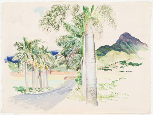 Hawaiian Landscape