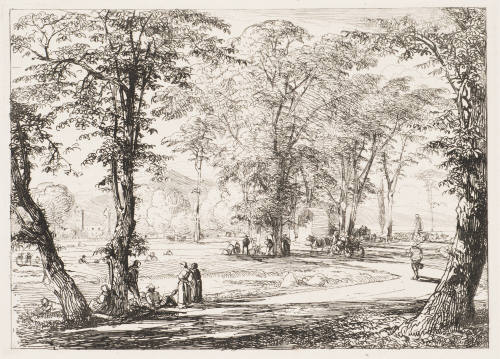 Idylle Unter Bäumen