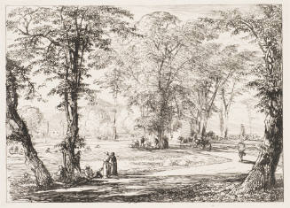 Idylle Unter Bäumen