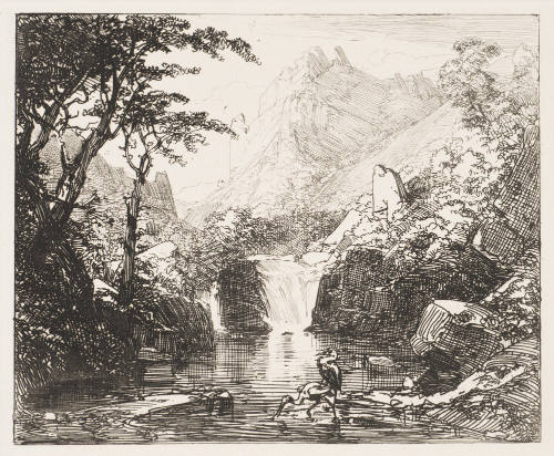 Reiher Am Wasserfall