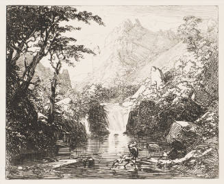 Reiher Am Wasserfall