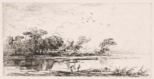 Seeufer Mit Zwei Rethern