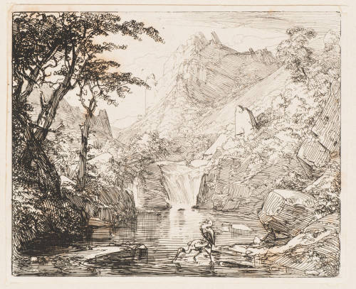 Reiher Am Wasserfall