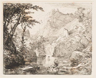 Reiher Am Wasserfall