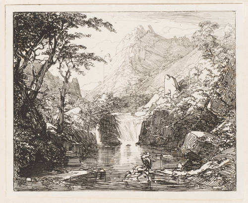 Reiher Am Wasserfall